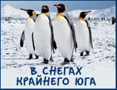 Обитатели Севера